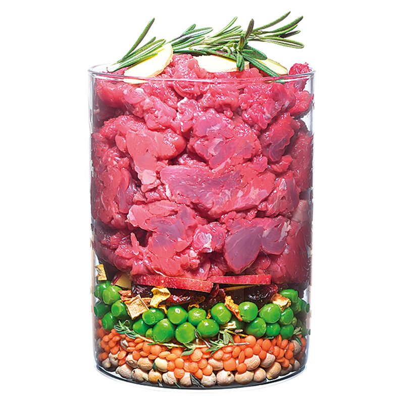 True Fresh Adult Dog Food 11.4KG - Beef