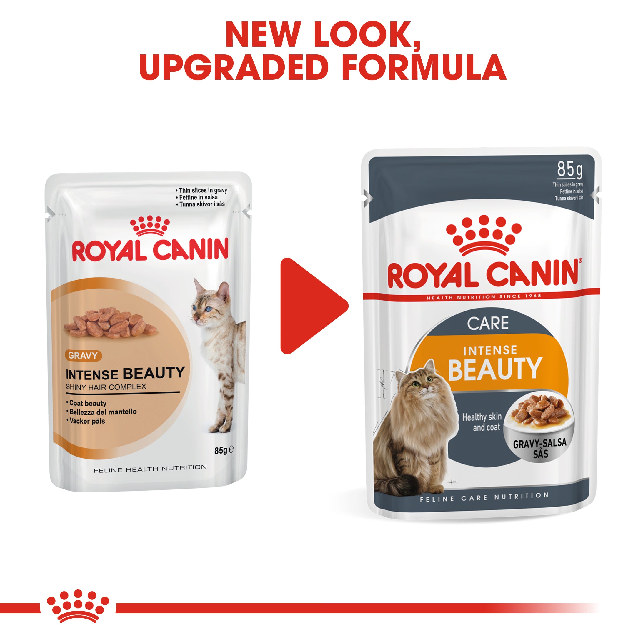 Royal Canin Intense Beauty Care In Gravy Adult Wet Cat Food, 85g x 12 Pack