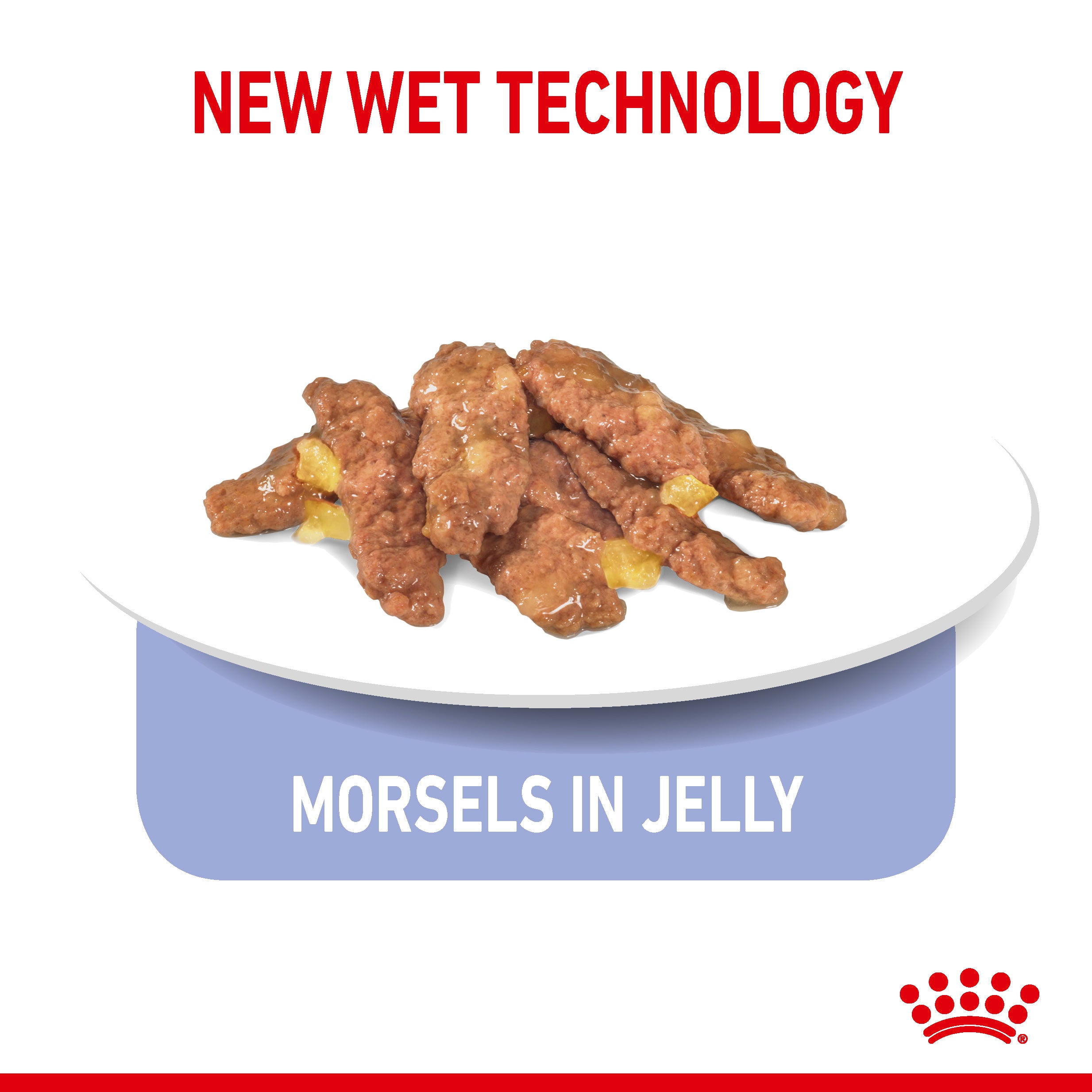 Royal Canin Indoor Sterilised In Jelly Adult Wet Cat Food, 85g x 12 Pack