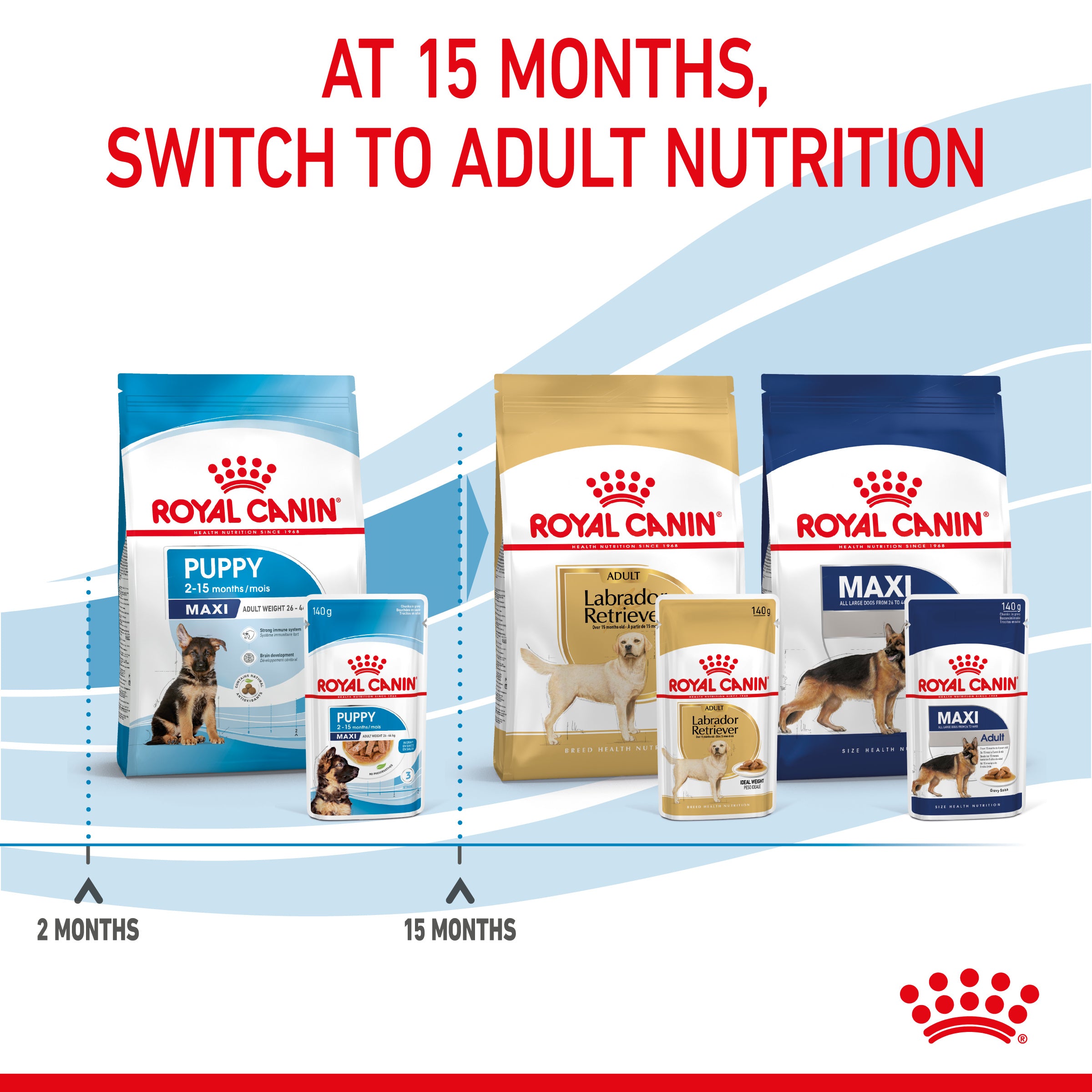 Royal Canin Maxi Puppy in Gravy Wet Food, 140g x 10 Pack