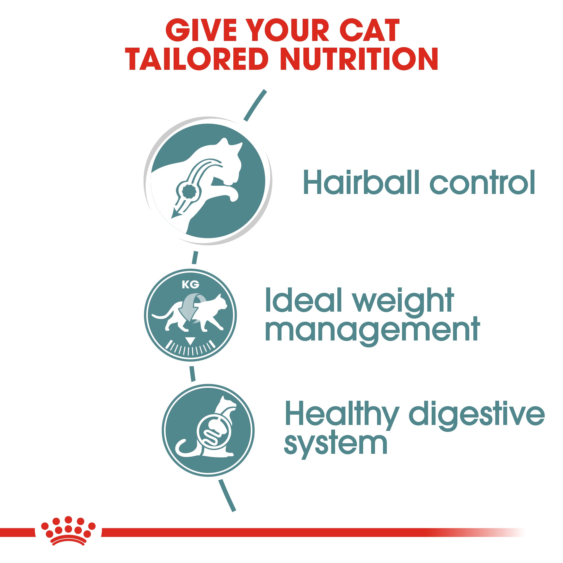 Royal Canin Hairball Care In Gravy Adult Wet Cat Food, 85g x 12 Pack