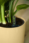Vibes Fold 30cm Round Plastic Indoor Plant Pot - Butter Yellow