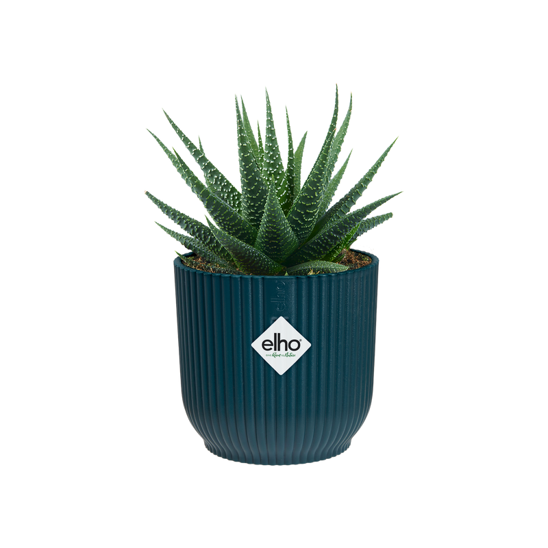 Vibes Fold 11cm Mini Round Plastic Indoor Plant Pot - Deep Blue