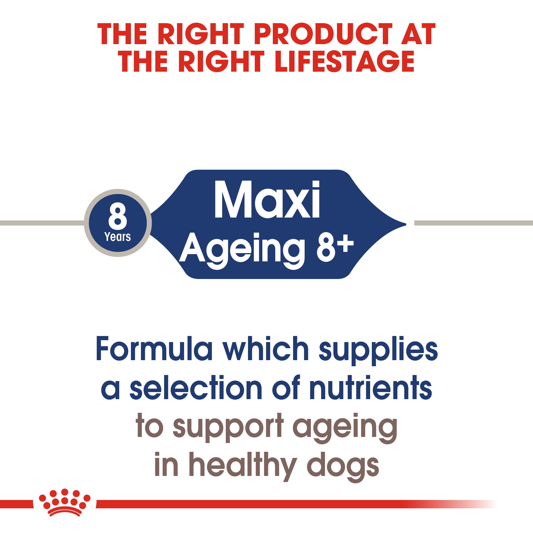 Royal Canin Maxi Ageing 8+ in Gravy Wet Dog Food, 140g x 10 Pack