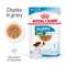 Royal Canin Mini Puppy in Gravy Wet Food, 85g