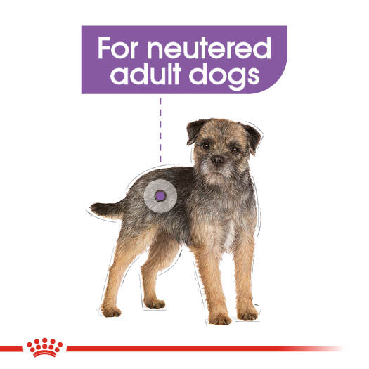 Royal Canin Sterilised Care Wet Pouches Adult Dog Food in Loaf, 85g x 12 Pack