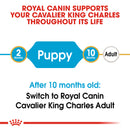 Royal Canin Cavalier King Charles Puppy Dry Food, 1.5kg x 6 Pack