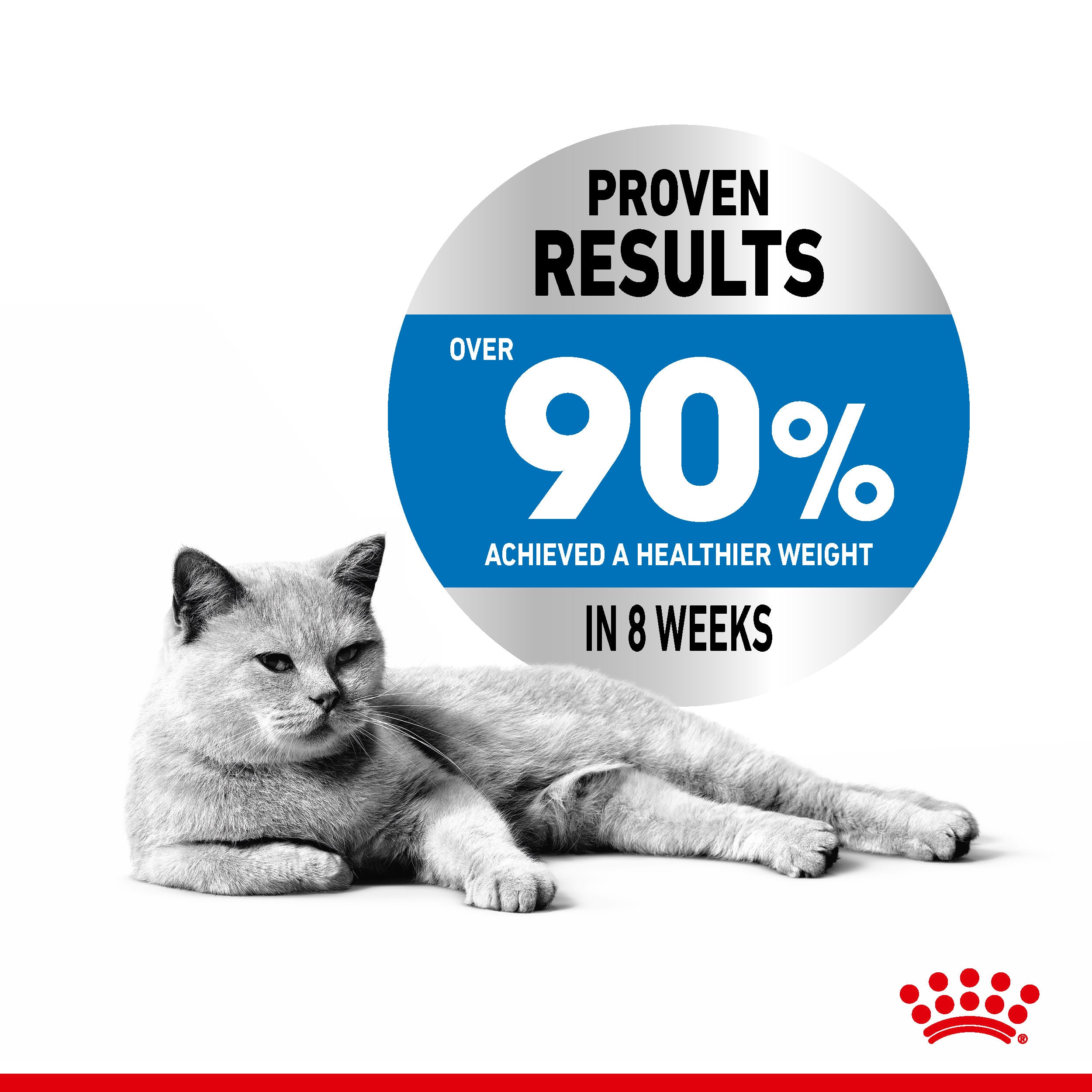 Royal Canin Light Weight Care in Gravy Adult Wet Cat Food, 85g x 12 Pack