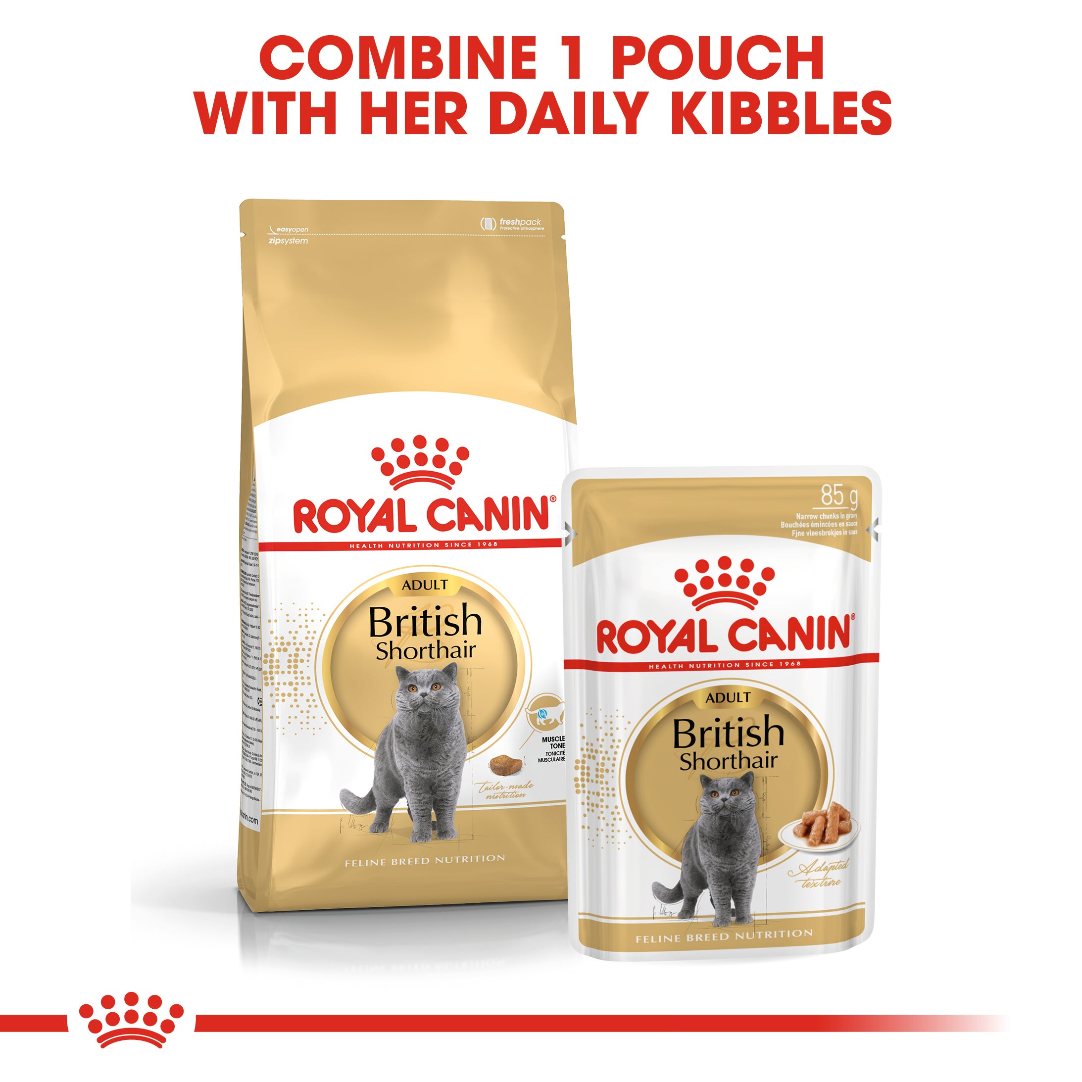 Royal Canin British Shorthair in Gravy Adult Wet Cat Food, 85g x 12 Pack
