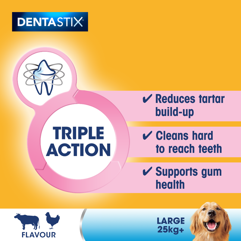 DentaStix Daily Dental Chews Large Dog 21 Sticks x 4 Pack
