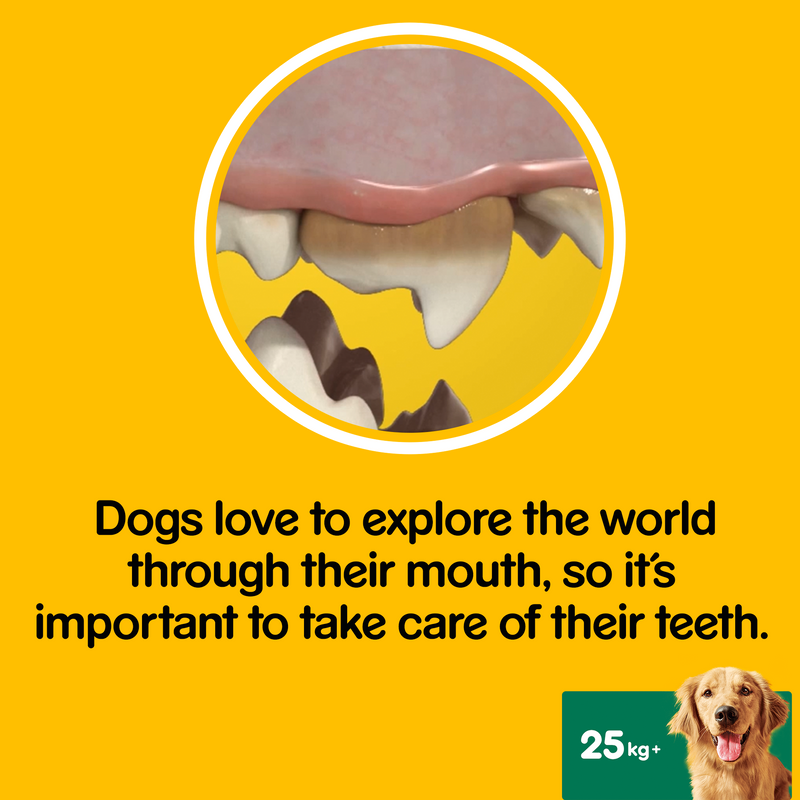 DentaStix Daily Dental Chews Large Dog 28 Sticks x 4 Pack