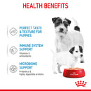 Royal Canin Starter Mother & Babydog Adult and Puppy Wet Food Mousse, 195g