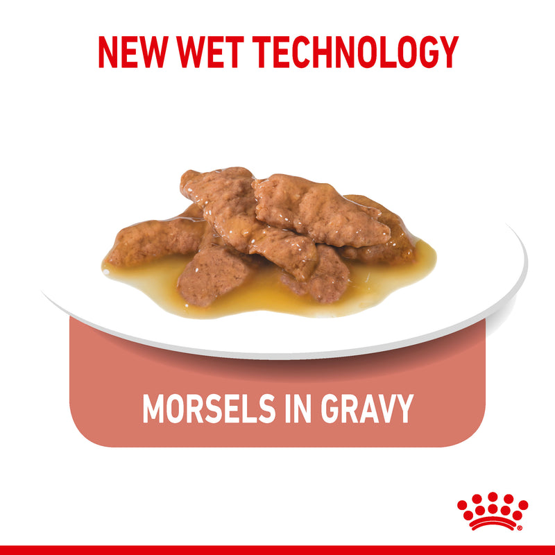 Royal Canin Indoor Sterilised In Gravy Adult Wet Cat Food, 85g x 12 Pack
