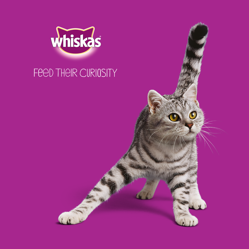 Whiskas 1+ Cat Pouches Fish Selection in Jelly 80x100g Giant Pack