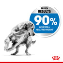 Royal Canin Maxi Light Weight Care Adult Dry Dog Food, 3kg x 4 Pack
