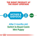 Royal Canin Mini Starter Mother & Babydog Adult and Puppy Dry Food, 1kg x 10 Pack