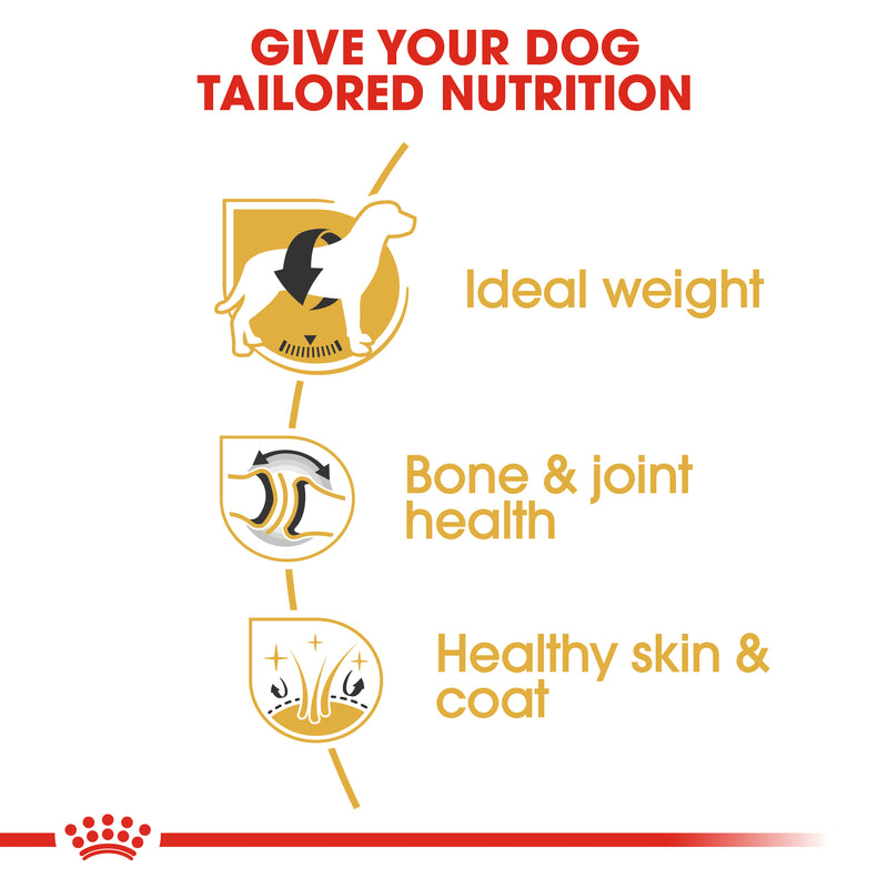 Royal Canin Labrador Retriever Adult Dry Dog Food, 3kg x 4 Pack