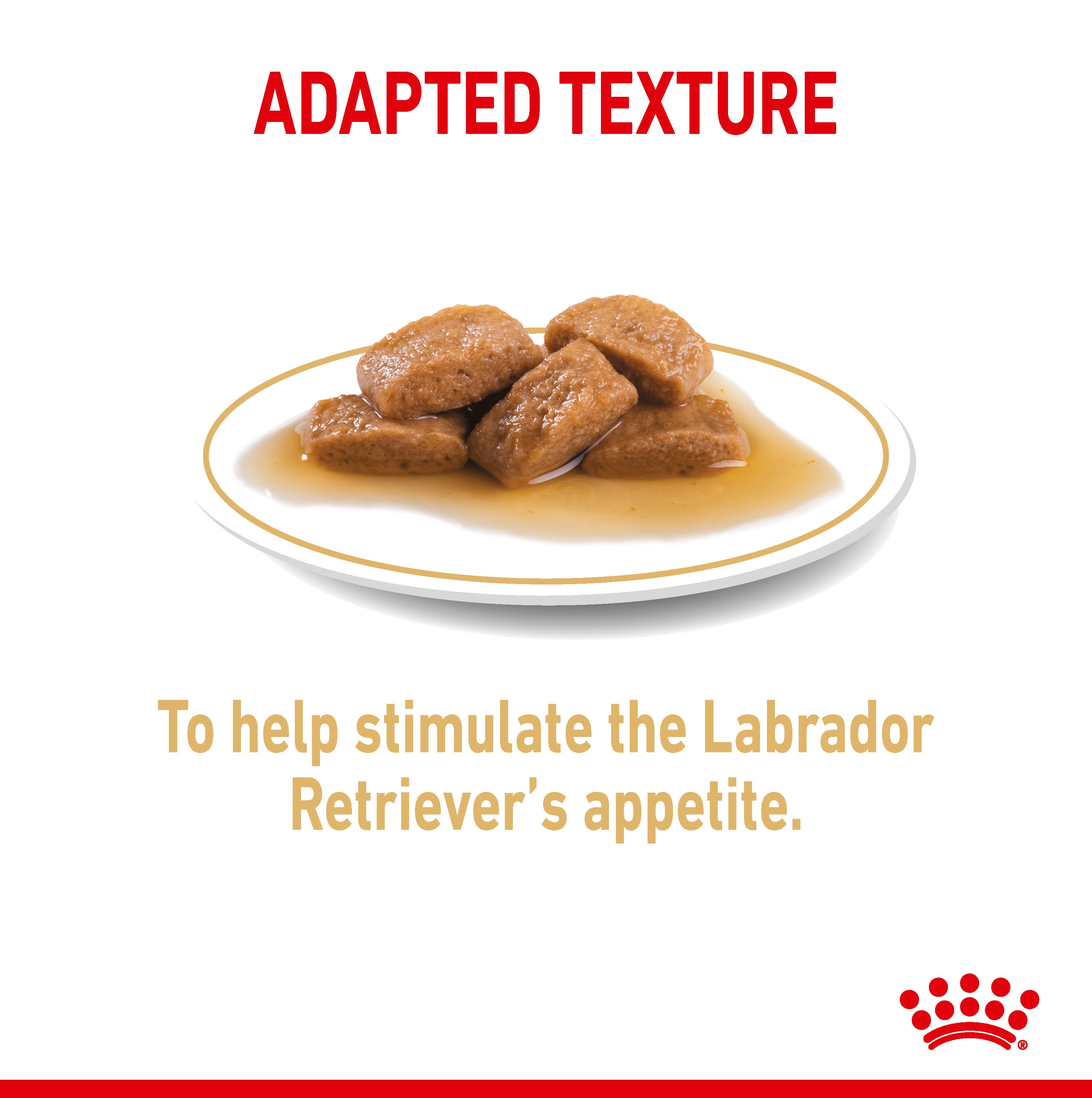 Royal Canin Labrador Retriever Adult in Gravy Wet Dog Food, 140g x 10 Pack