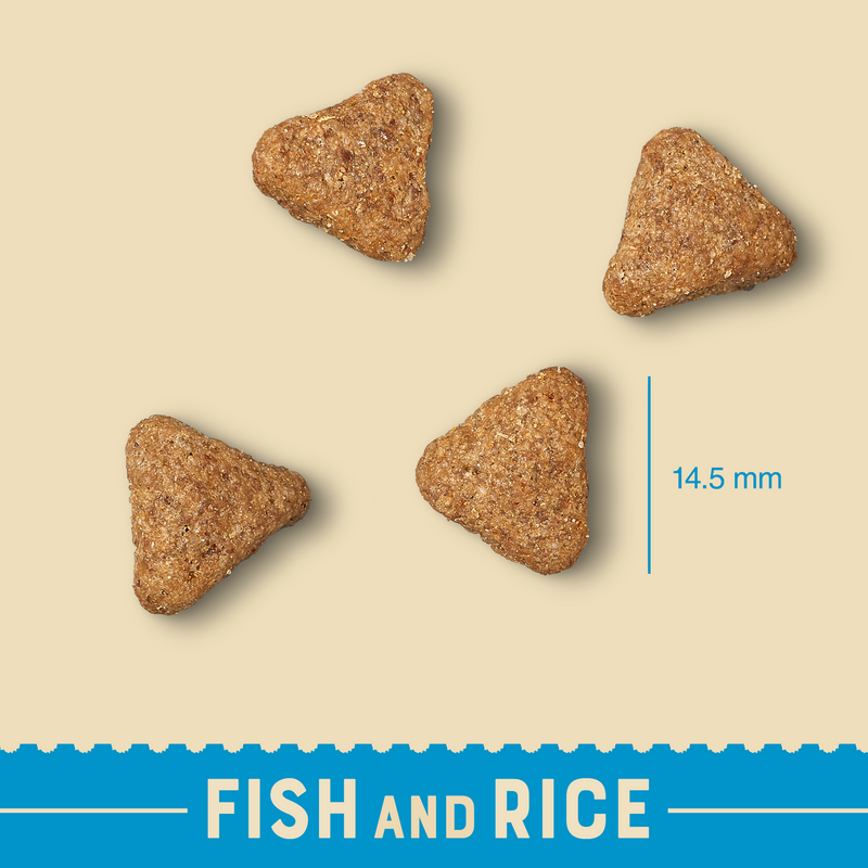Adult Dog Fish & Rice 7.5kg