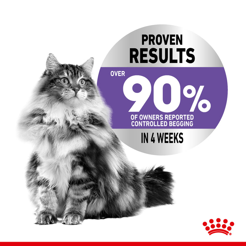 Royal Canin Appetite Control Care in Gravy Adult Wet Cat Food, 85g x 12 Pack