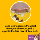 Pedigree DentaStix Daily Dental Chews Small Dog 28 Sticks