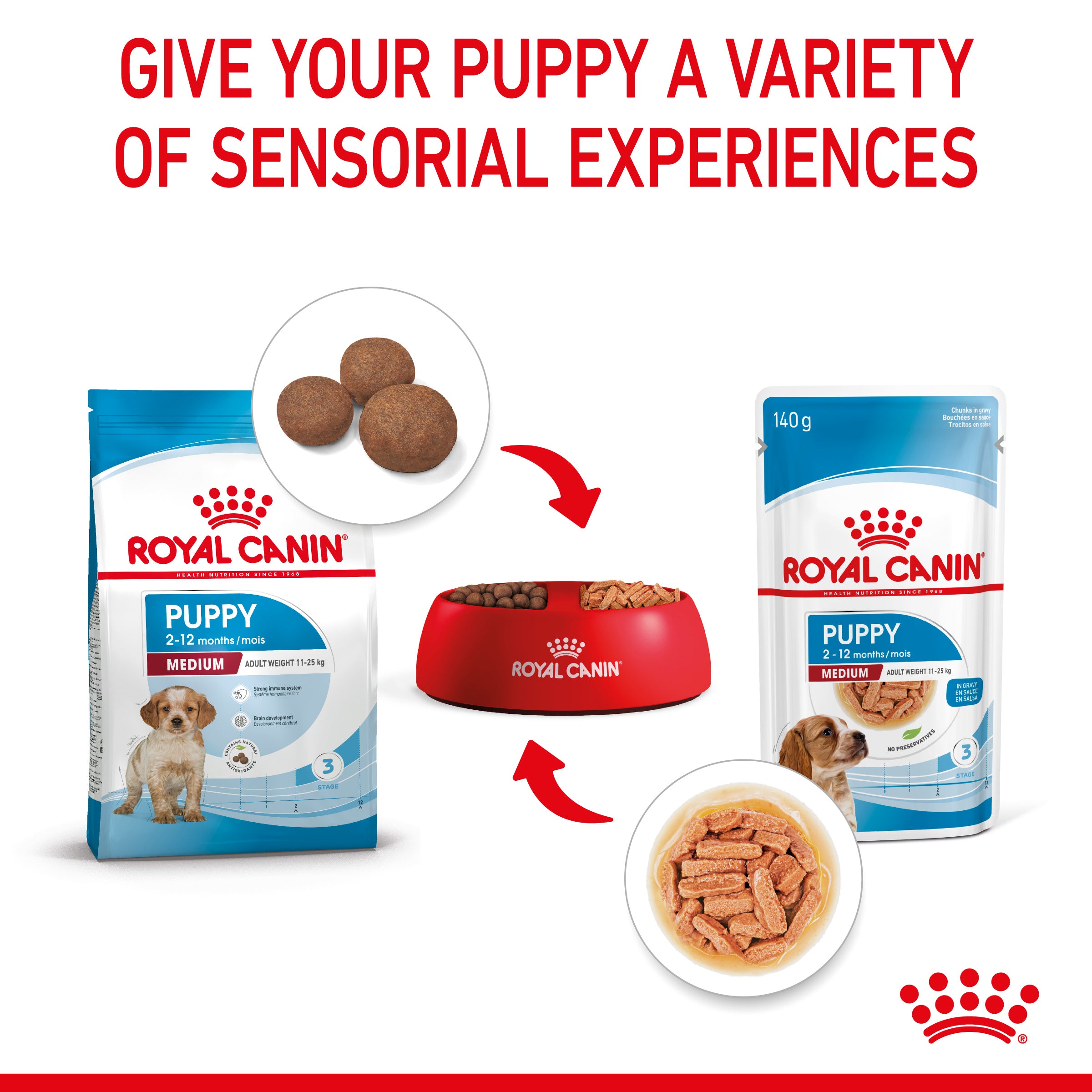 Royal Canin Medium Puppy in Gravy Wet Food, 140g x 10 Pack